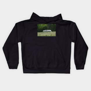 Wild Horse Herd Kids Hoodie